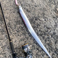 えー!タッチー‼︎