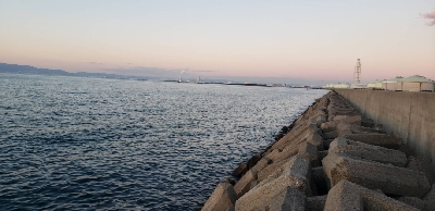 アジ1匹でやんす