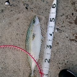 早朝から・・・