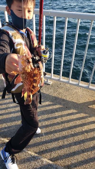 タチウオ釣りたかった！