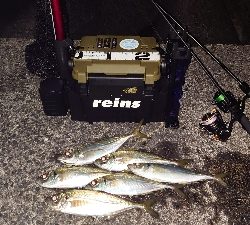 やっと釣りに行けました。