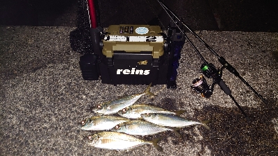 やっと釣りに行けました。