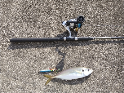 来たらデカイ！