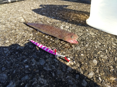 すいません…ESOっす