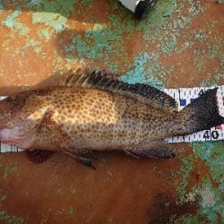 レンタルボード(要免許)釣行