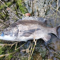 川でトップルアーフィッシング!!