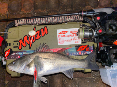 宵姫爽S78Mでシャローフリーク