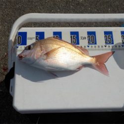 爆風の中、赤いやつが来ました