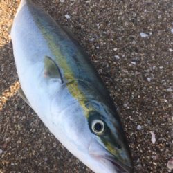 今シーズンラストカヤック！