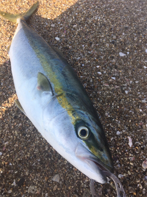 今シーズンラストカヤック！