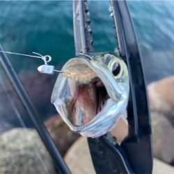 宵姫爽S78Mシャローフリーク縛り