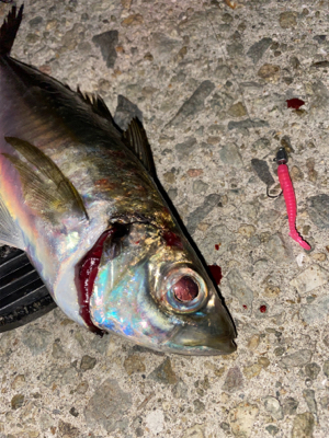 フロートアジング