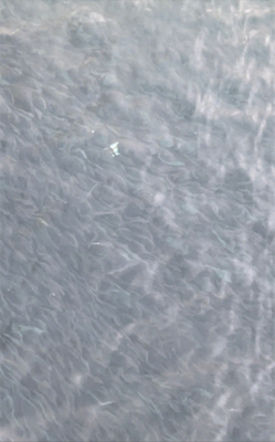 湧いてんなぁ〜