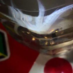 アジング練習341 ヒイカ