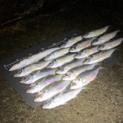 本日も修行でした…