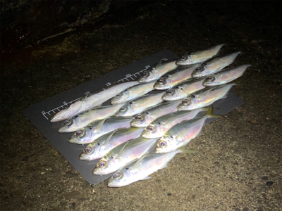 本日も修行でした…