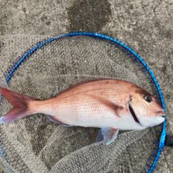 シーズン終盤も快釣