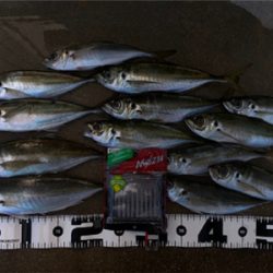 マズメチャレンジ