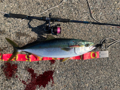 久しぶりに出会えた！