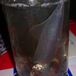 アジング練習347 ライトエギング