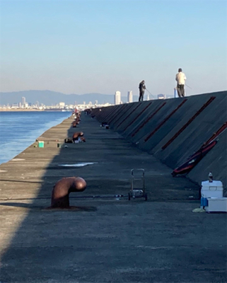 やっぱり癒やし系