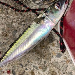 フロートアジング