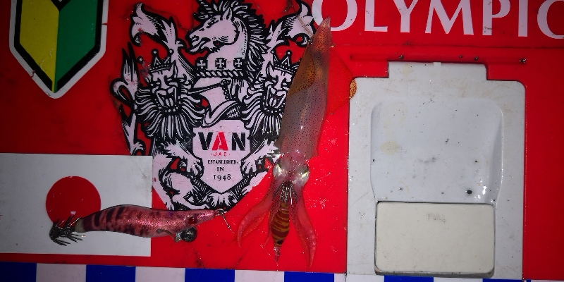 アジング練習349　ライトエギング