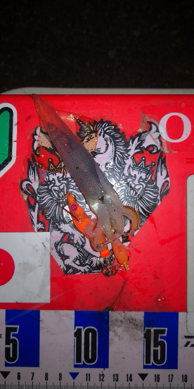 アジング練習351  爆風ライトエギング2…