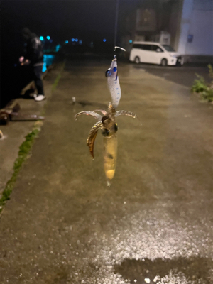 ライトエギング