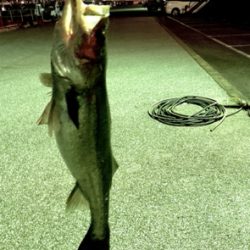 極寒の中、しっかり食ってきた!