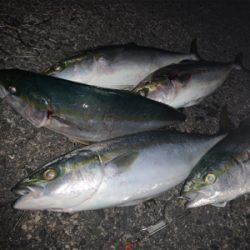 努力は報われた…！久々はまちフィーバー