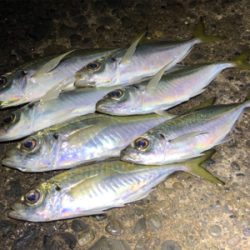 爆風極寒でした