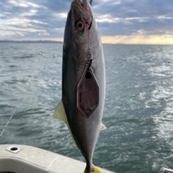 今年最後のジギング