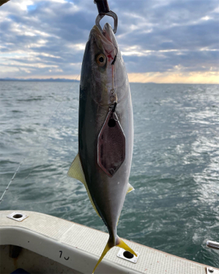 今年最後のジギング