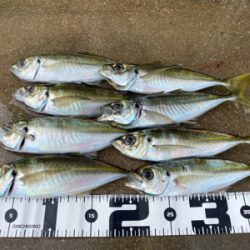 スプリットで型狙い