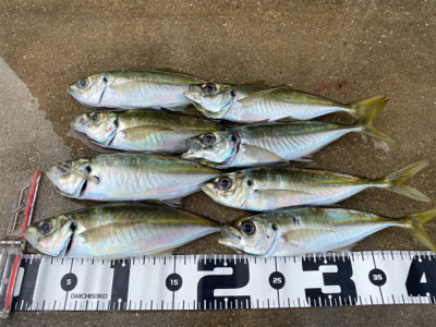 スプリットで型狙い