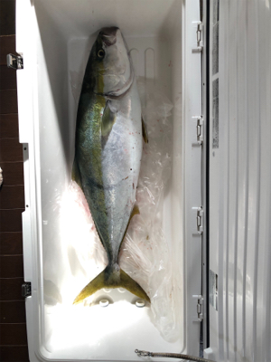 2021年釣り納め完了！