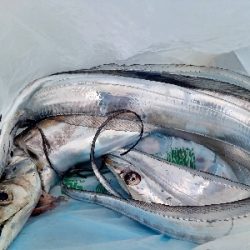 座る場所で運命が左右される