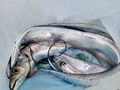 座る場所で運命が左右される