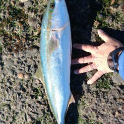 時合が短すぎる(*_*)