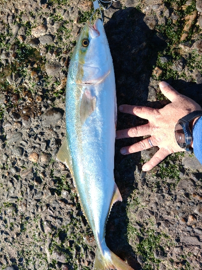 時合が短すぎる(*_*)