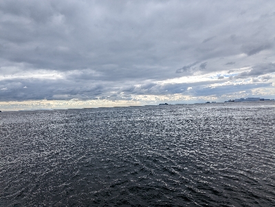 ラストショアジギング