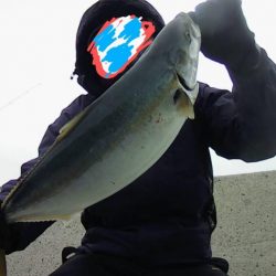 まだまだ青物ｫ～！