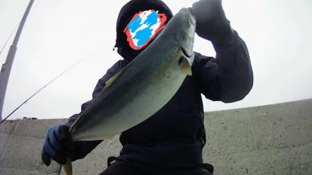 まだまだ青物ｫ～！