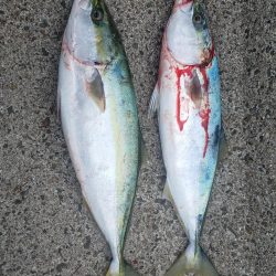 新ポイントに初挑戦!