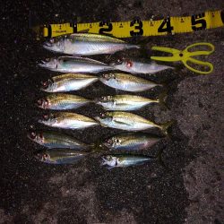 プチファミリーフィッシング　GAME