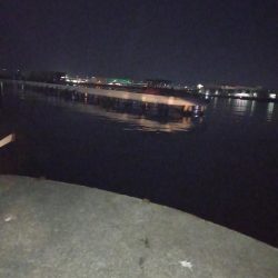 ぶっこみあなご