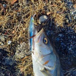 夜勤明けの寄り道で