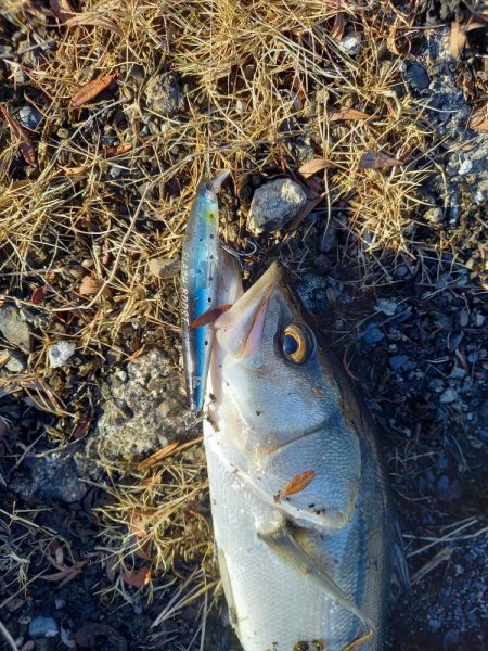 夜勤明けの寄り道で