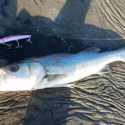 2021年最後の釣行